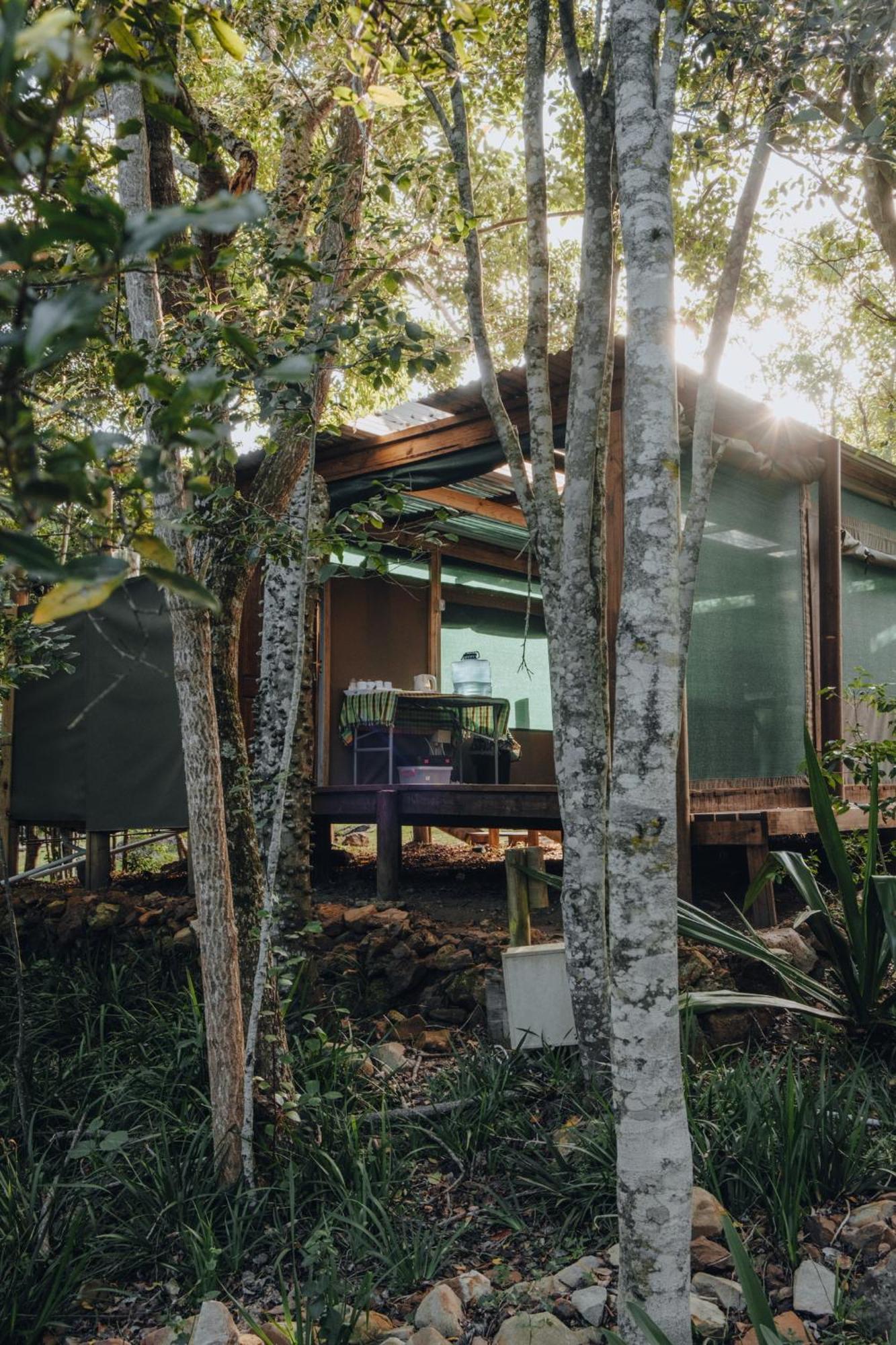 Firefly Falls Plettenberg Bay Ngoại thất bức ảnh