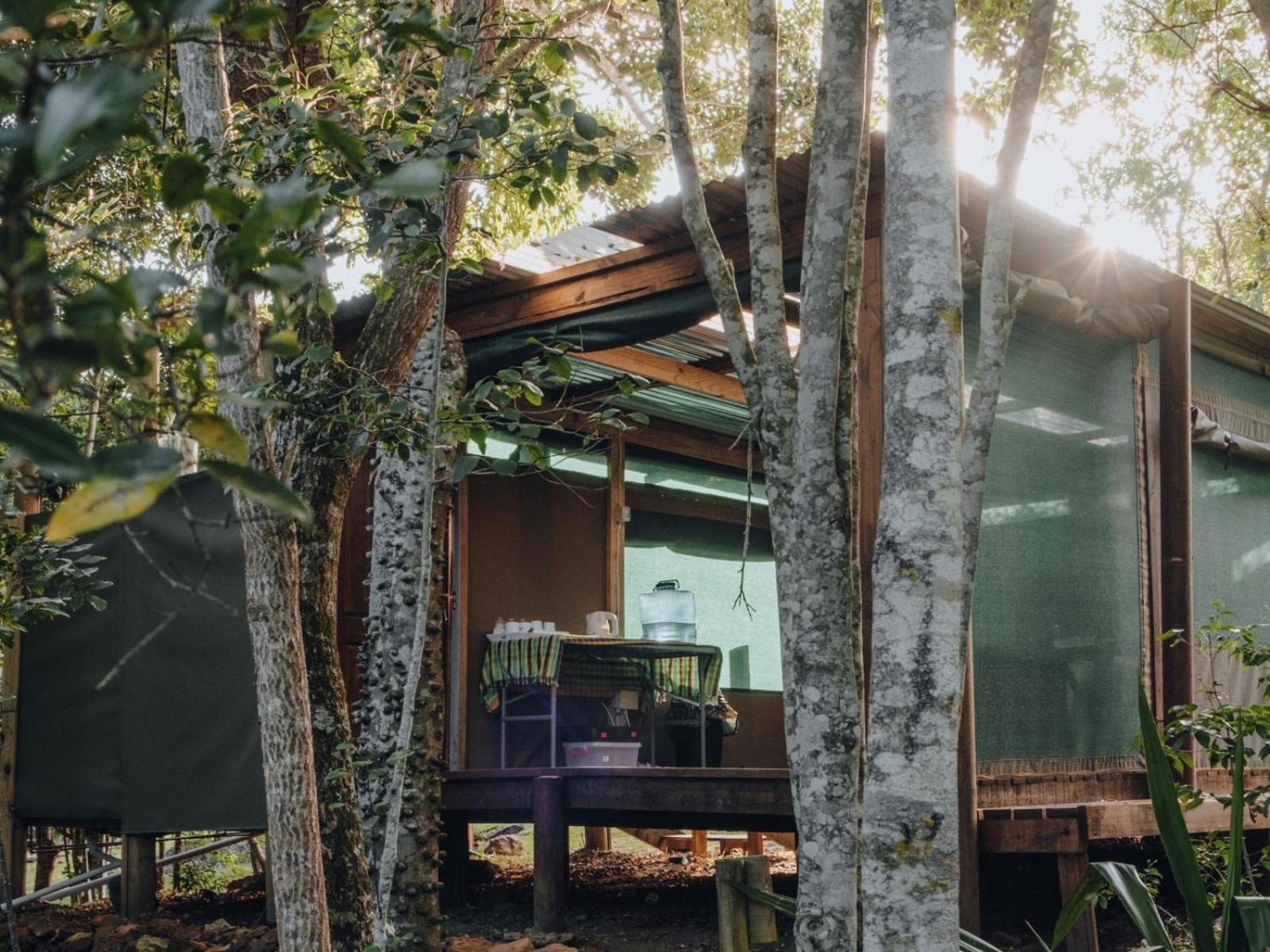 Firefly Falls Plettenberg Bay Ngoại thất bức ảnh