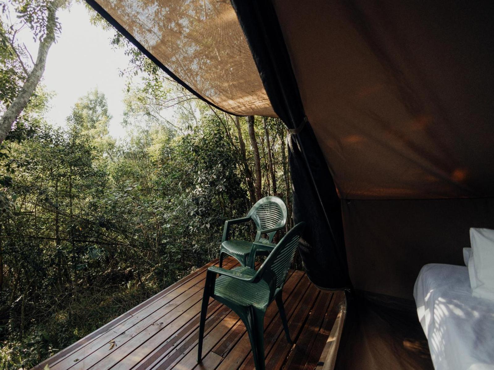 Firefly Falls Plettenberg Bay Ngoại thất bức ảnh