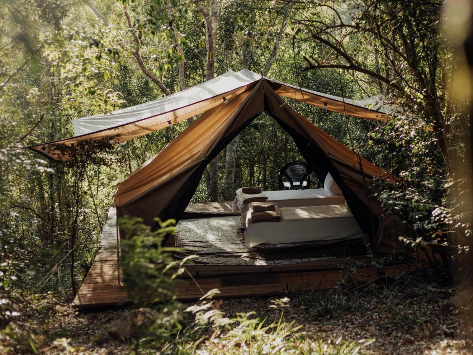 Firefly Falls Plettenberg Bay Ngoại thất bức ảnh