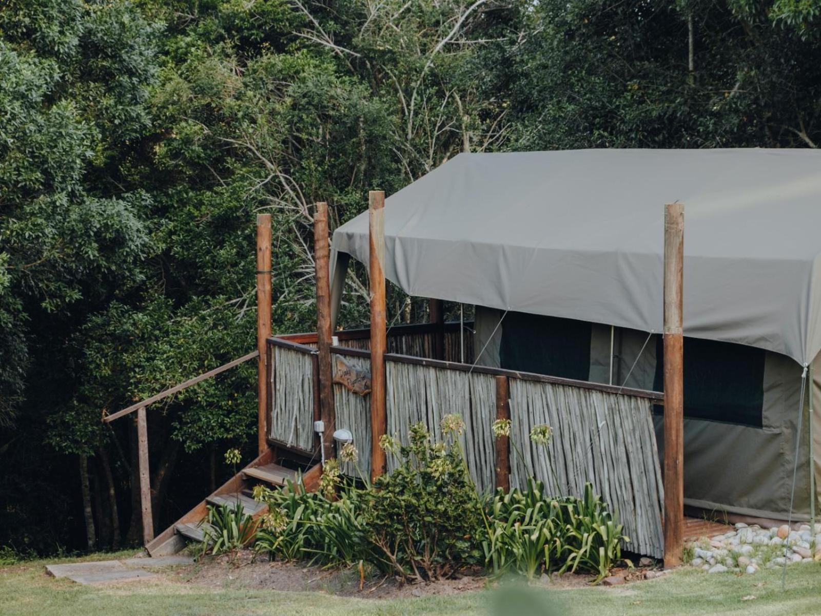 Firefly Falls Plettenberg Bay Ngoại thất bức ảnh