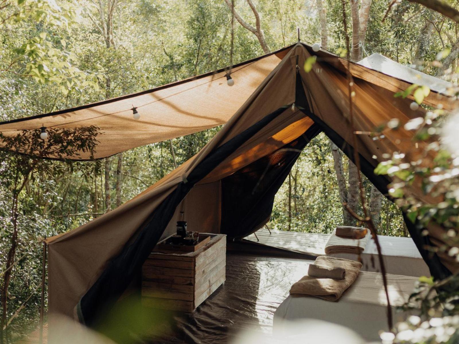 Firefly Falls Plettenberg Bay Ngoại thất bức ảnh