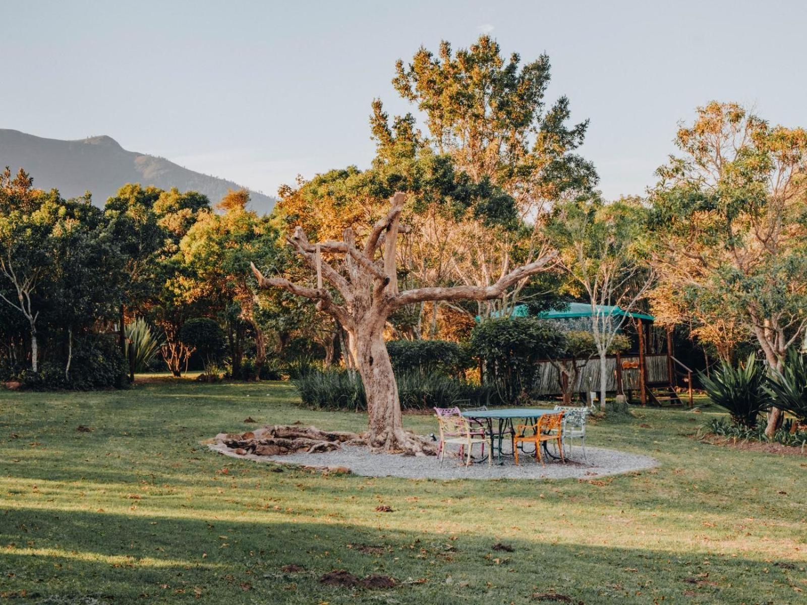 Firefly Falls Plettenberg Bay Ngoại thất bức ảnh