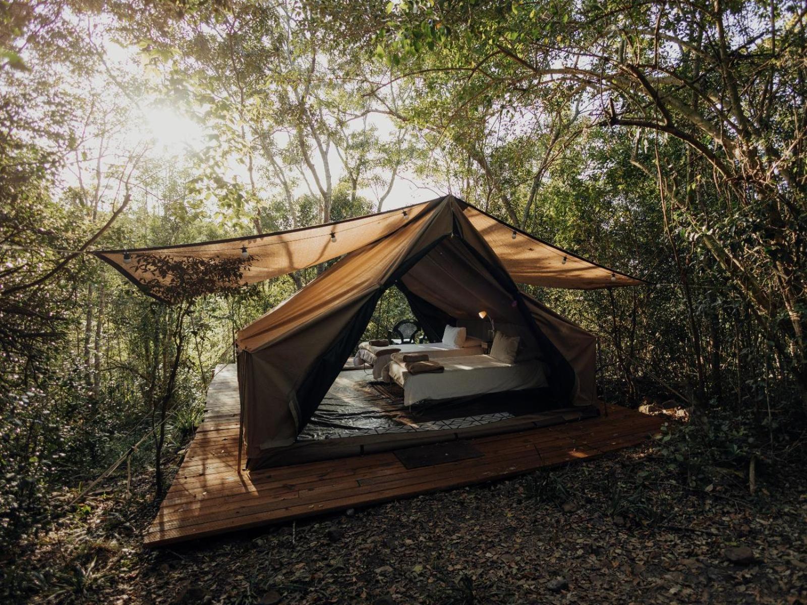 Firefly Falls Plettenberg Bay Ngoại thất bức ảnh